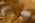 Arabie Saoudite. Madâin Sâlih. Mission archéologique franco-saoudienne dans l'antique cité nabatéenne de Hégra. Fouille dans un des tombeaux (IGN 117) du Jabal al-Ahmar. L'archéologue Isabelle Sachet (à gauche) et Nathalie Delhopital, l'anthropologue de la mission (à droite).

Saudi Arabia. Madâin Sâlih archaeological mission. The ancient Nabataean city of Hegra. Fouille dans un des tombeaux (IGN 117) du Jabal al-Ahmar. The archeologists Isabelle Sachet and the anthropologist Nathalie Delhopital are excavating in the IGN 117 tomb