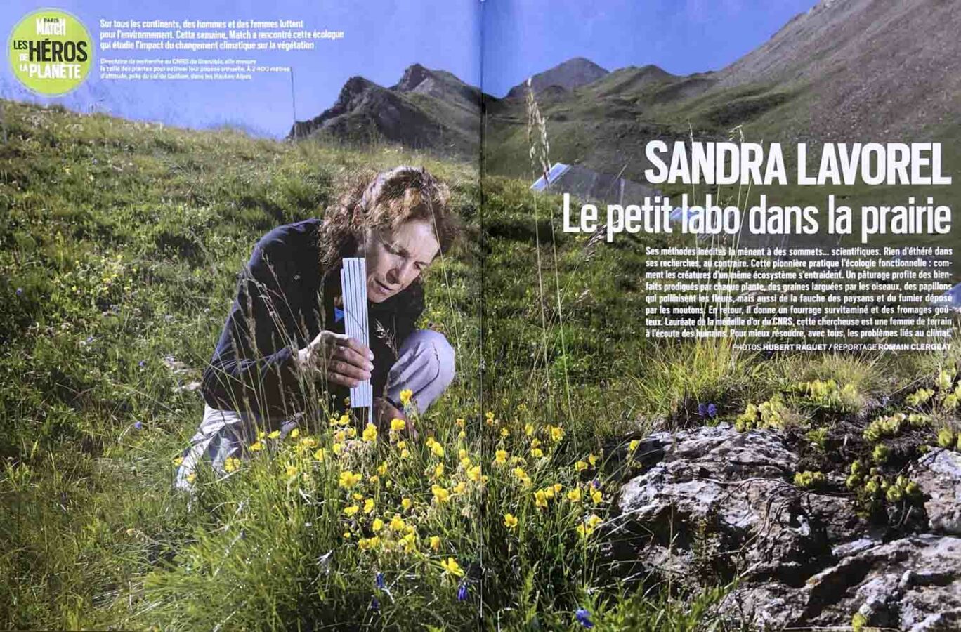 Double d'ouverture de la parution dans Paris Match sur Sandra Lavorel Médaille d'or 2023 du CNRS montrant la scientifique mesurant une plante dans l'une des prairies instrumentées de l'observatoire du Col du Lautaret