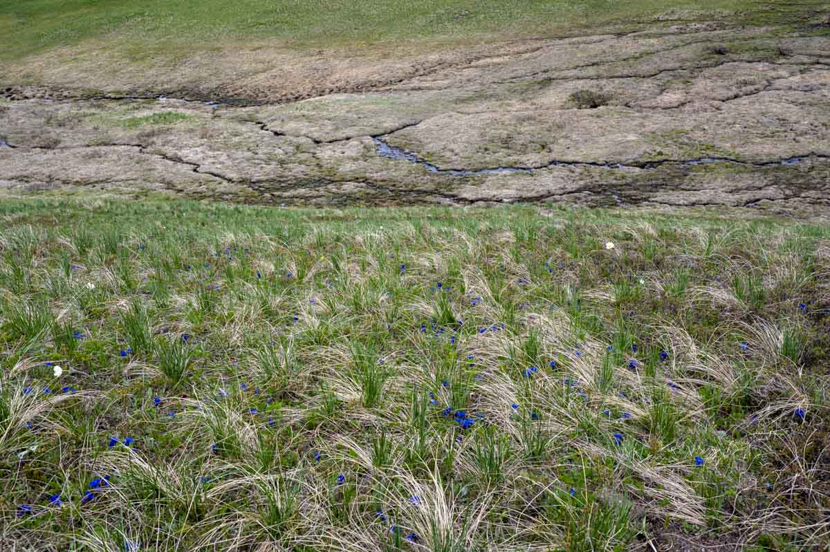 Photographies des journées Terra Forma rassemblant les scientifiques du projet à l'observatoire du Col du Lautaret