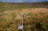 Reportage photographique sur les observatoires de la zone critique de l'infrastructure de recherche OZCAR. L'observatoire de la tourbière de Frasne (Service National d’Observation Tourbières): alt 830 m, 300 ha (surface monitorée: 7ha), localisée sur des calcaires du jurassiques et des moraines.  Vue sur les équipements de l'observatoire.